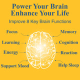 OPTINOURISH Brain alcar como componente clave de energía mental
