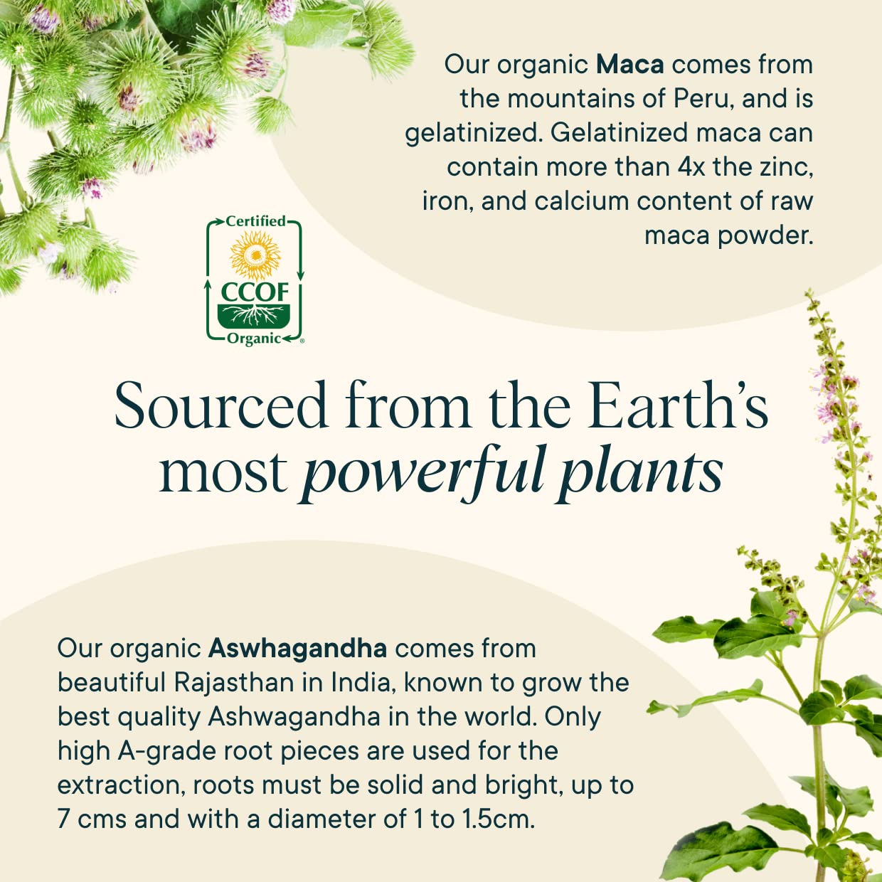  Ora Organic Balance caja y frasco, 90 cápsulas veganas y libres de ogm.
