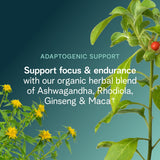 Ingredientes orgánicos clave como ashwagandha y rhodiola para enfoque