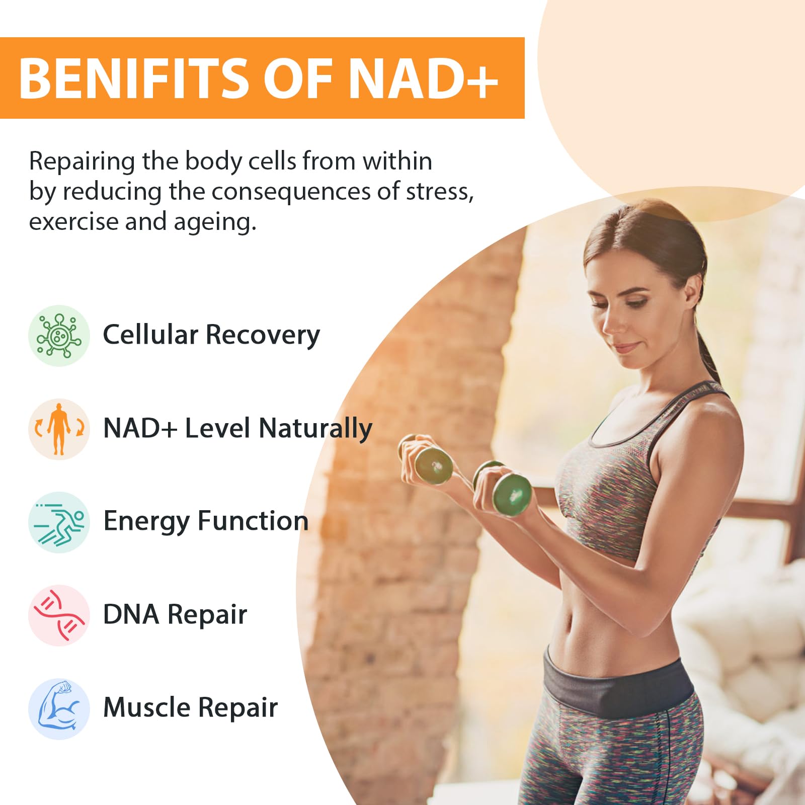 Formulación liposomal de Orgabay Nad, promueve absorción eficiente.