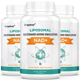 Orgabay Nad liposomal 500 mg, botella lista para uso diario.