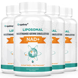 Orgabay NAD+ liposómico botella: protección estomacal y absorción eficiente para energía diaria.