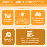 Organic India Ashwagandha: energía diaria para tareas cotidianas
