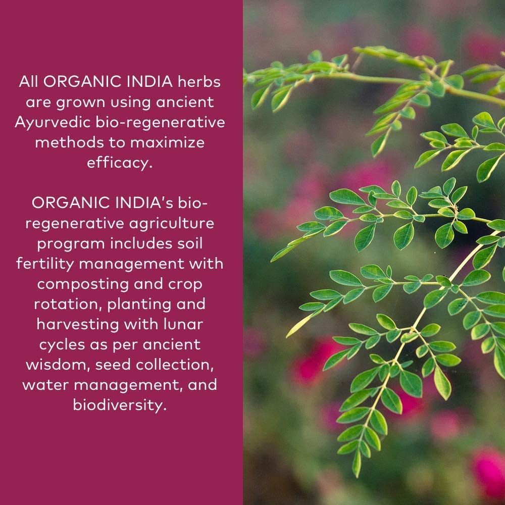 ORGANIC INDIA Ashwagandha en cucharita medidora para incluir en bebidas o comidas