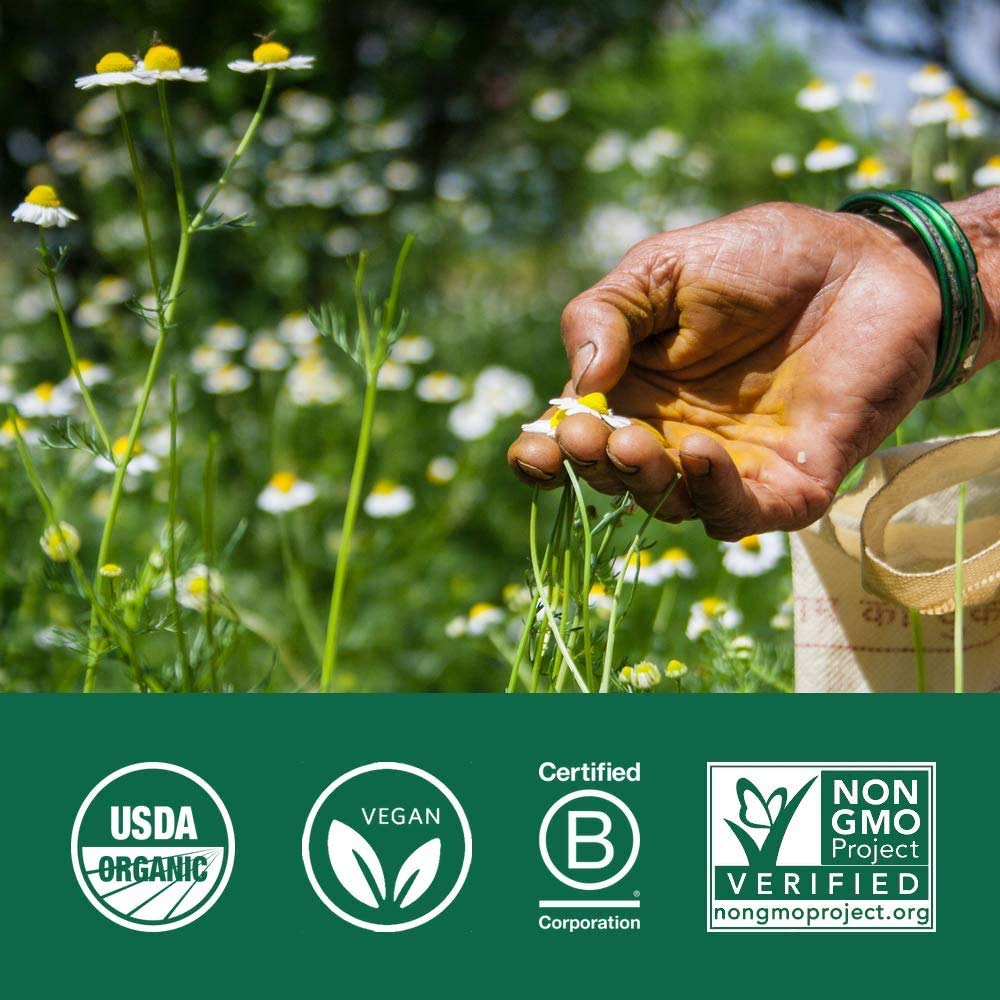 ORGANIC INDIA Ashwagandha mezcla en recipiente para uso diario