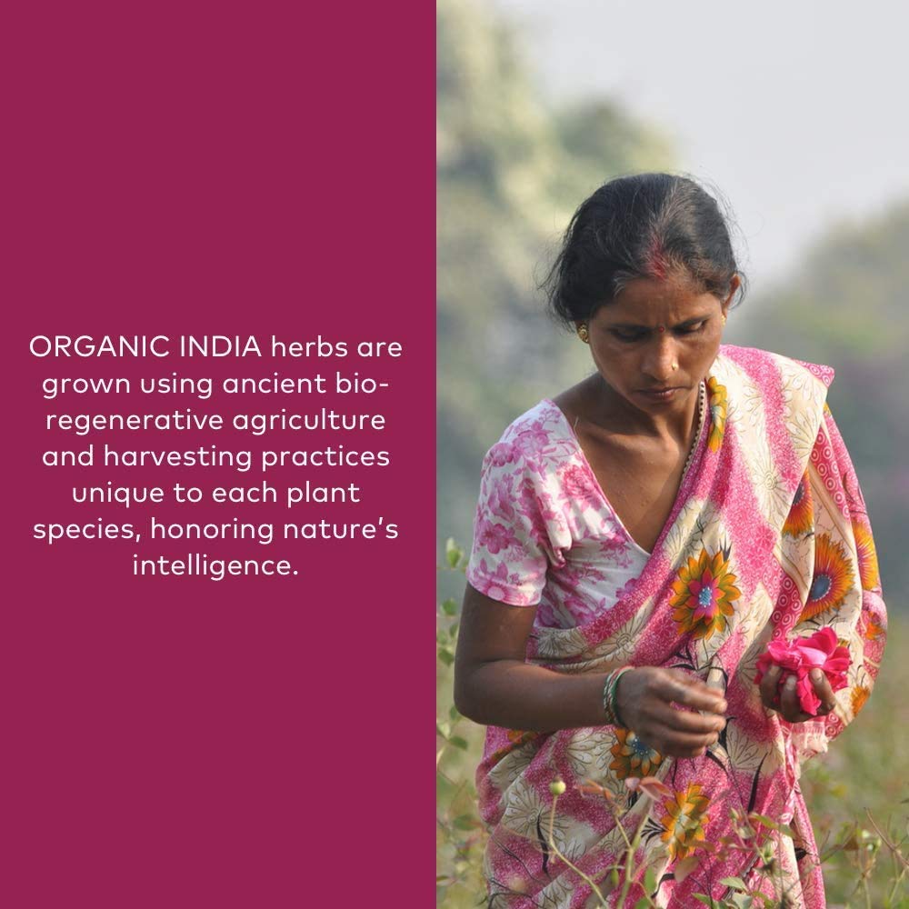 ORGANIC INDIA Ashwagandha en taza infusión para una bebida reconfortante