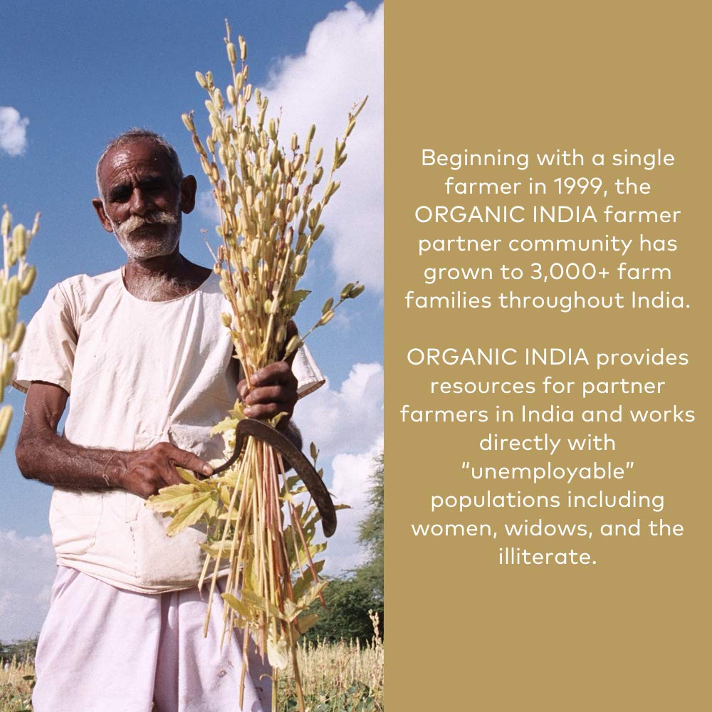 Cerebro y circulación: ORGANIC INDIA impulsa función cerebral