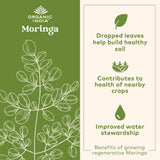 Ingredientes moringa y wheatgrass en ORGANIC INDIA Chocolate Moringa Latte Powder
