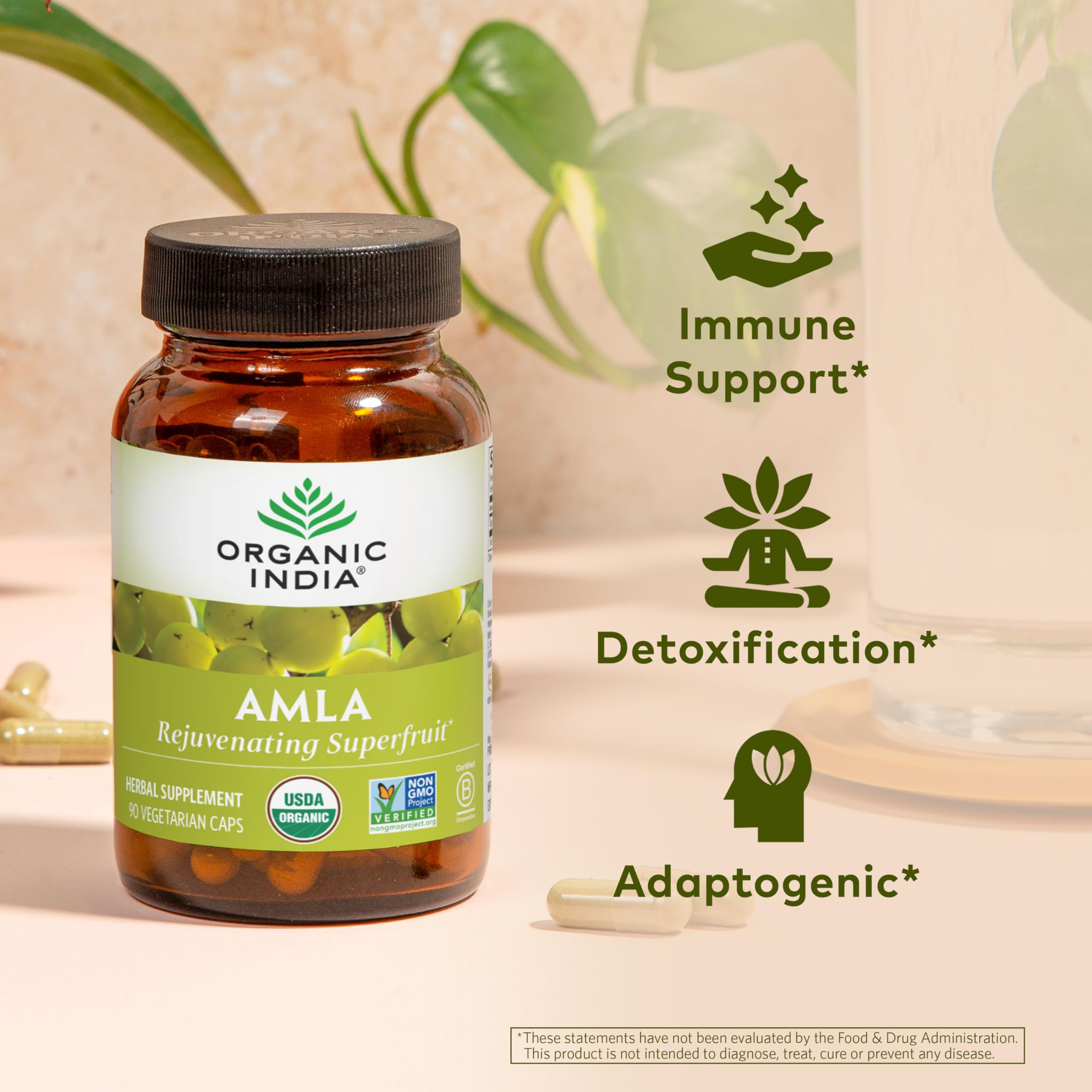 Amalaki, fruta india, destacando antioxidantes naturales para la vitalidad