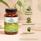 Amalaki, fruta india, destacando antioxidantes naturales para la vitalidad
