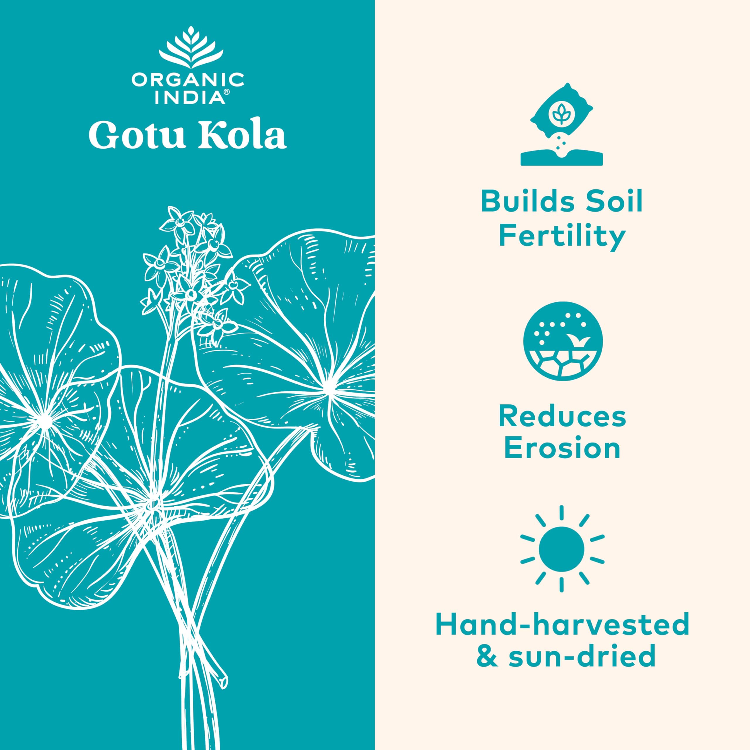 Organic India Gotu Kola botella lista para uso diario.
