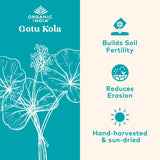 Organic India Gotu Kola botella lista para uso diario.