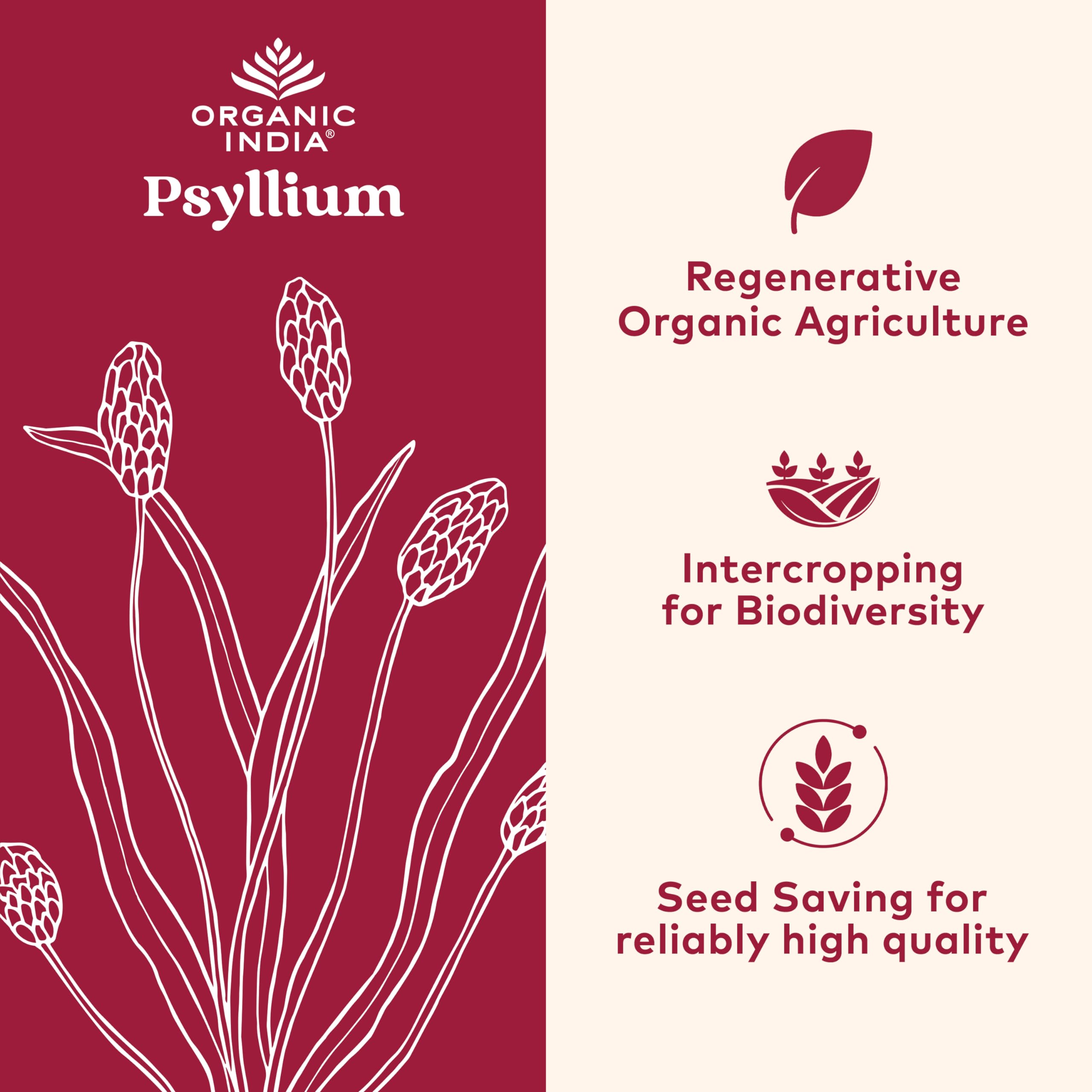 ORGANIC INDIA mezcla de psyllium en vaso, fácil de incorporar a bebidas