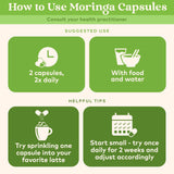 De cultivo regenerativo a tu mesa: Moringa Organic India en cápsulas.