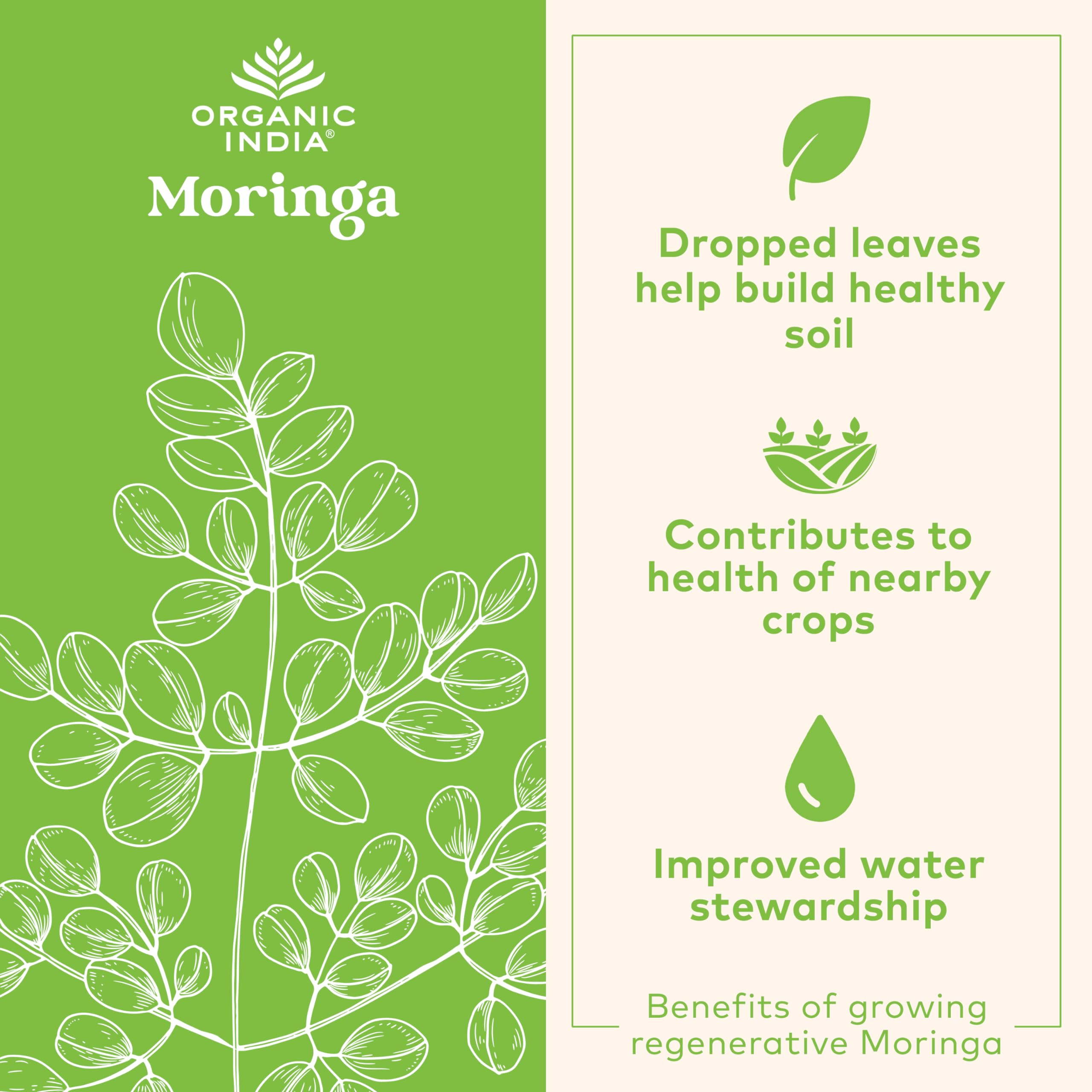 Prácticas sostenibles de Organic India Moringa con cultivo regenerativo.