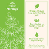 Cápsulas de Moringa con vitaminas A, E y K para un aporte sostenible.