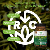 Hojas frescas de neem ORGANIC INDIA para una experiencia vegetal.