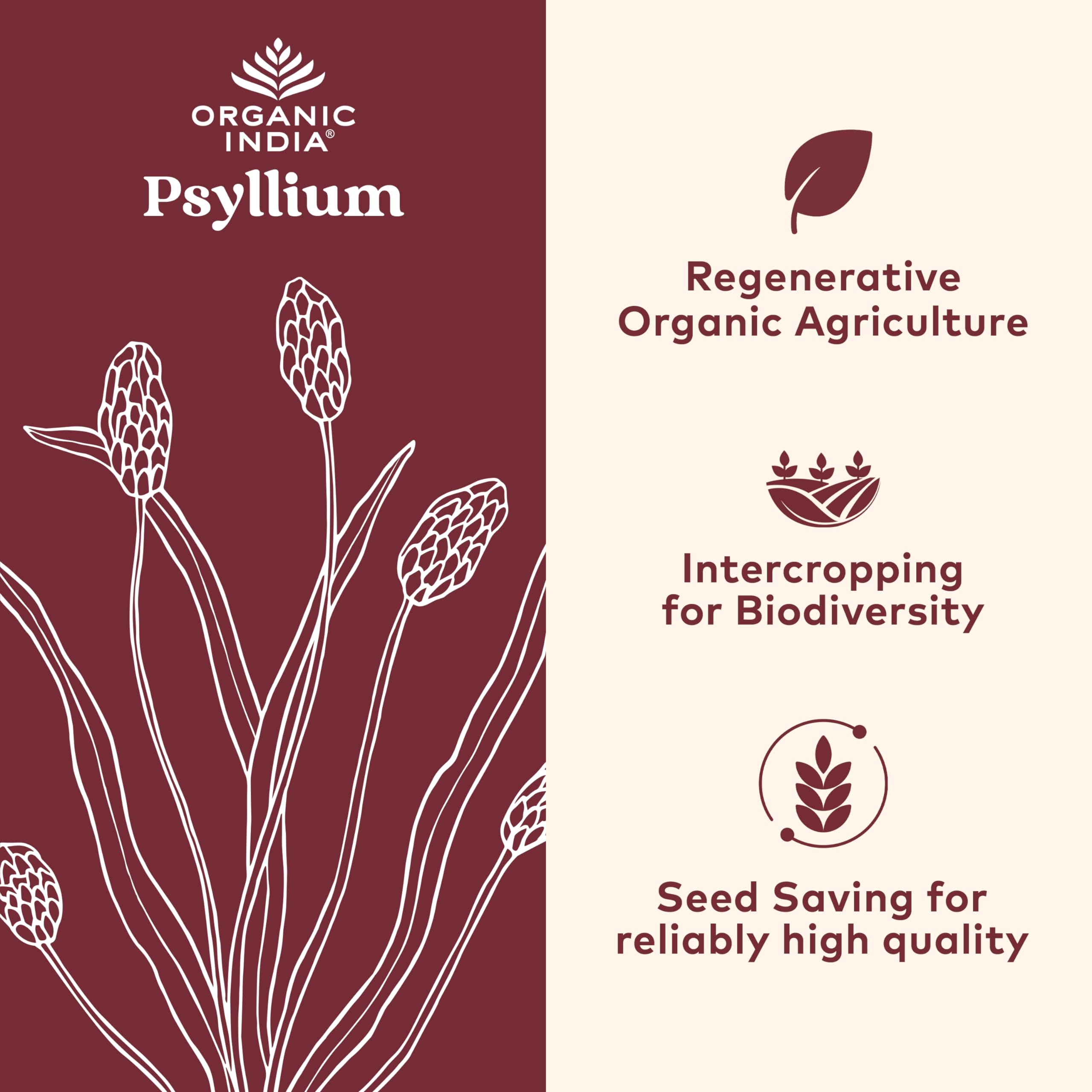 Tomar ORGANIC INDIA Psyllium cápsulas con agua facilita la ingesta