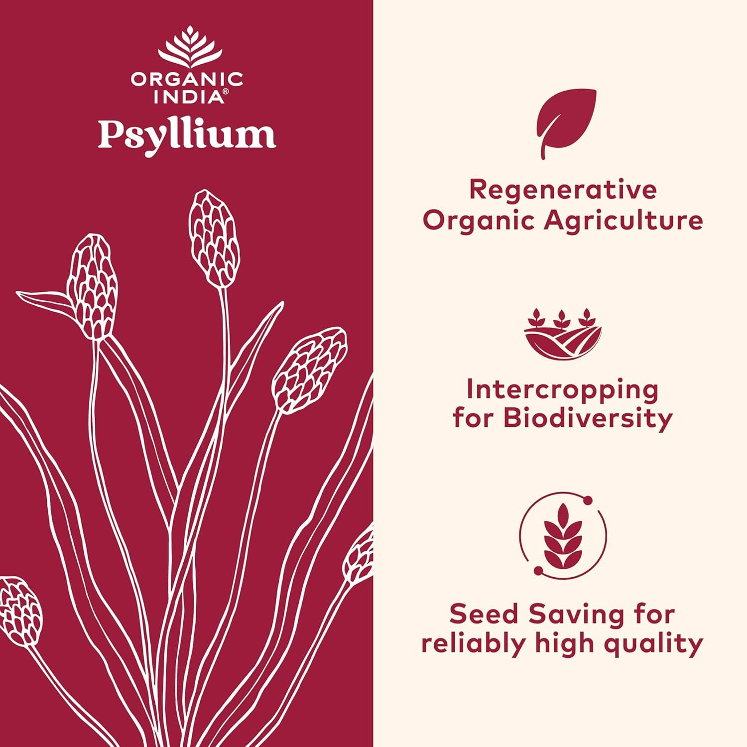 Psyllium Herbal Powder con cuchara de medición