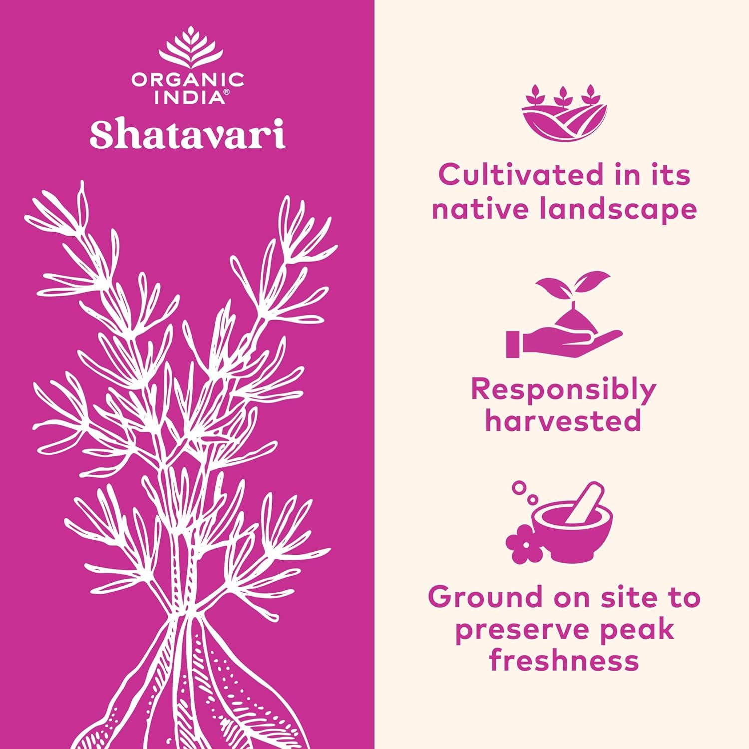 Organic India Shatavari Capsules, primer plano: textura suave de las cápsulas para consumo diario