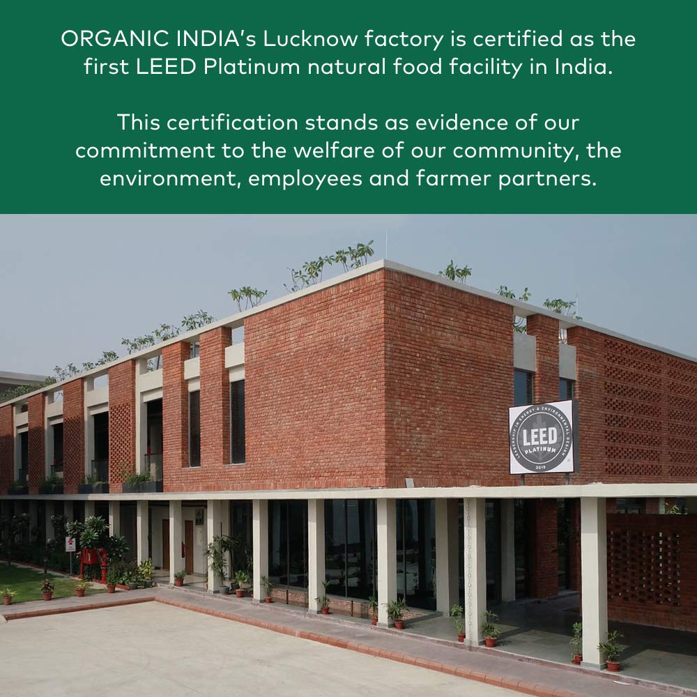 Sistema nervioso: ORGANIC INDIA brinda apoyo integral