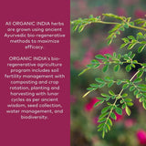 Organic India Triphala, mezcla de frutos para limpieza interna suave