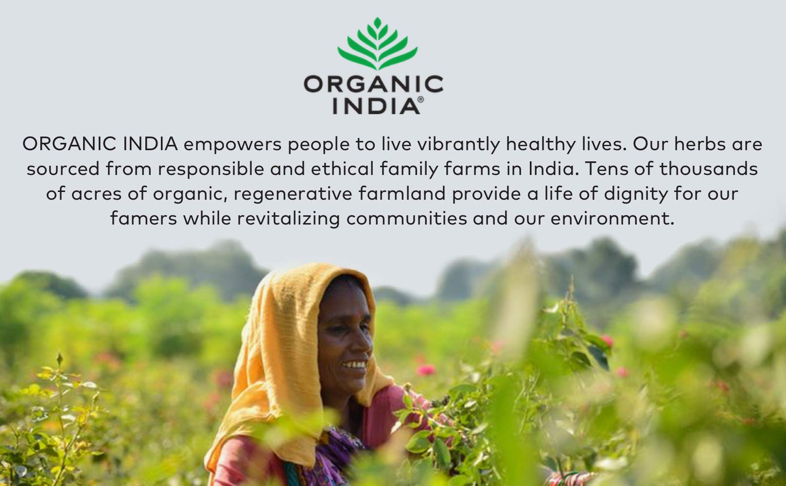 Organic India Triphala, uso diario en batido para bienestar