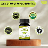 ORGANIC SPREE Amla: dosis diaria para facilitar la rutina matutina.