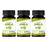 ORGANIC SPREE Amla: empaque visible para un consumo diario sencillo.