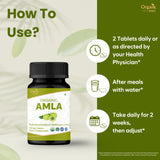ORGANIC SPREE Amla: etiqueta clara para verificar certificaciones orgánicas.