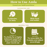ORGANIC INDIA Amla, detalle de nutrientes para bienestar general