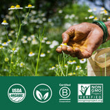 Sello orgánico ORGANIC INDIA en etiqueta, garantía de cultivo
