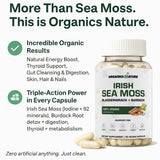 Cápsulas ORGANICS NATURE Sea Moss en uso diario para energía suave.
