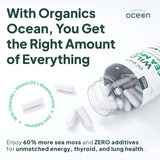 Botella Organics Ocean musgo marino: calidad premium en cápsulas.