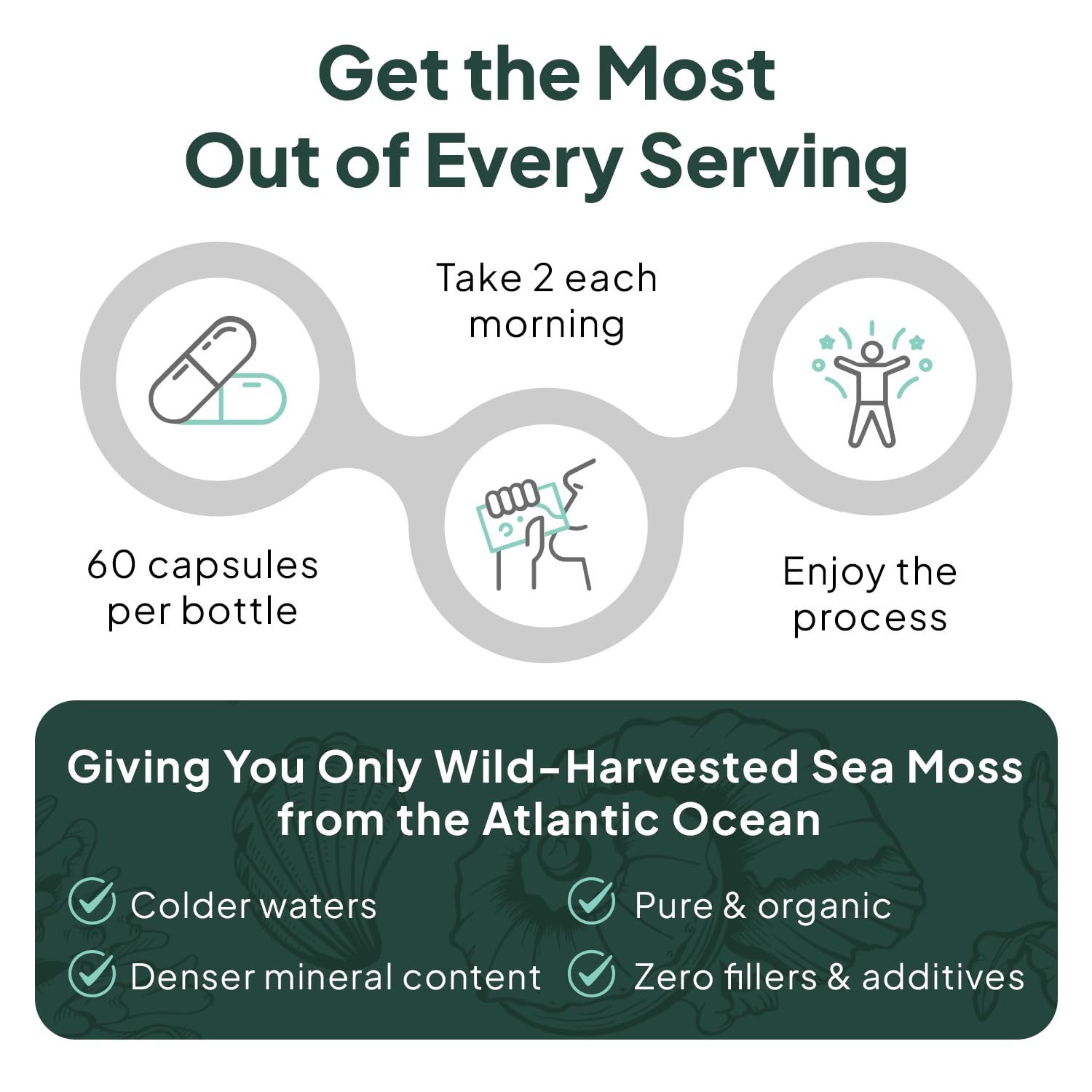 Organics Ocean musgo marino con Vitamina D3: frasco y etiqueta informativa.