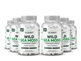 Organics Ocean capsulas Sea Moss botella: consumo diario para energía sostenida