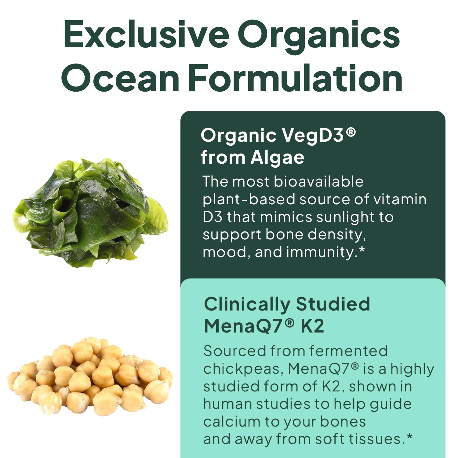 Base de aceite Coco-MCT para mejor absorción en Organics Ocean.