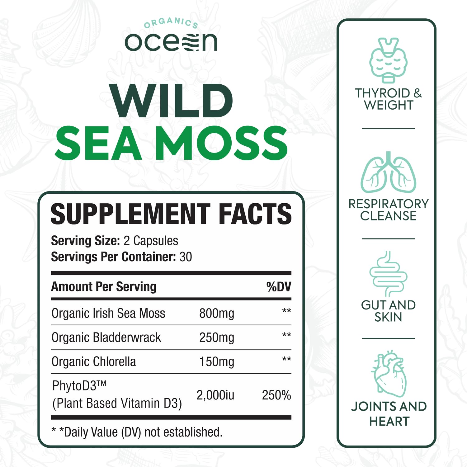 Organics Ocean etiqueta capsulas Sea Moss: información clara de ingredientes naturales