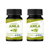 ORGANIC SPREE Amla: botella de tabletas para la ingesta diaria de vitamina C