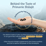 Organifi Shilajit Gummies: empaque para viaje, energía en cualquier momento