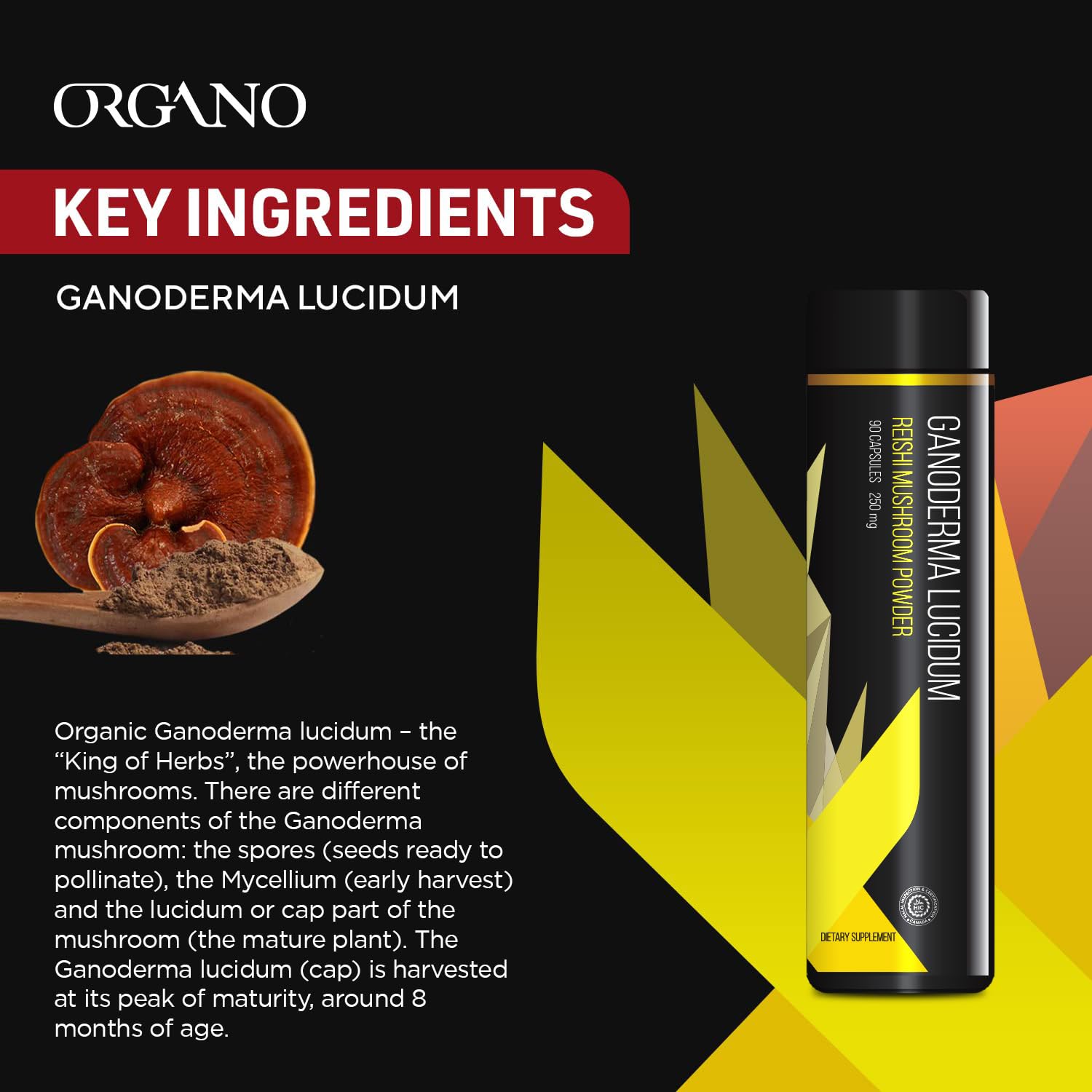 Organo OGX Ganoderma Lucidum: cápsula detalle resalta tamaño de dosis y facilidad de ingesta.