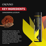 Organo OGX Ganoderma Lucidum: cápsula detalle resalta tamaño de dosis y facilidad de ingesta.