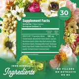 Organza DigestLive: etiqueta con ingredientes herbales visibles