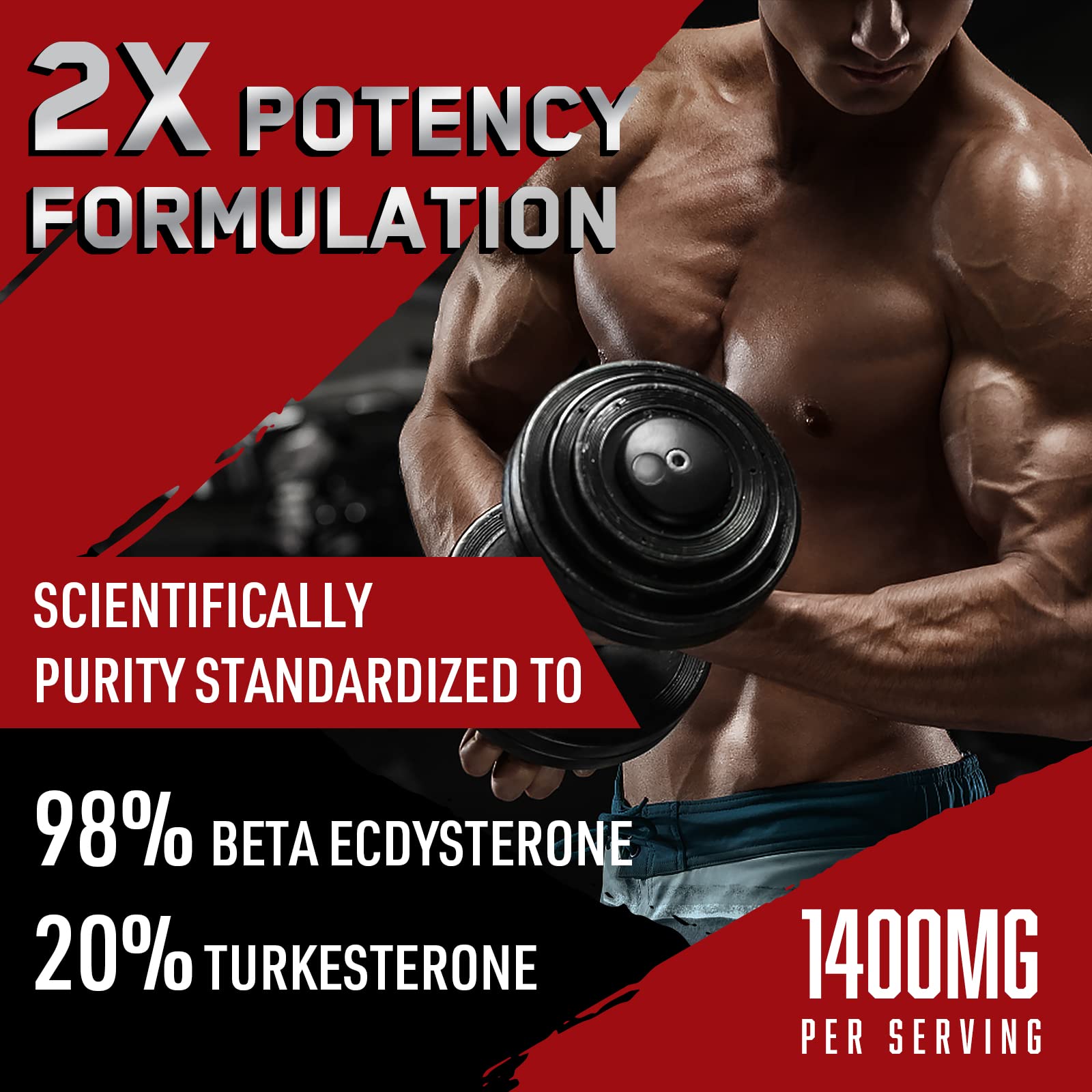 Orisilico entrenamiento energético con beta-ecdisterona y turkesterona para fuerza