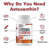 Fuente Haematococcus pluvialis libre de OGM y gluten para nutrición antioxidante.