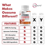 Diagrama de tecnologia liposomal de Osasuna para absorcion potencial maxima.