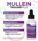 Extracto de Mullein en TriGuard Plus para posibles beneficios respiratorios.