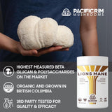 Dosis diaria de melena de león Pacific Rim Mushrooms