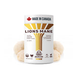 Polvo de melena de león Pacific Rim Mushrooms en frasco, mejora concentración