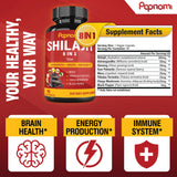 Papnami Shilajit Ginseng: fórmula para enfoque natural y claridad mental.